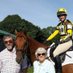 Racer To Eventer (@racertoeventer) Twitter profile photo Racer To Eventer (@racertoeventer) Twitter profile photo