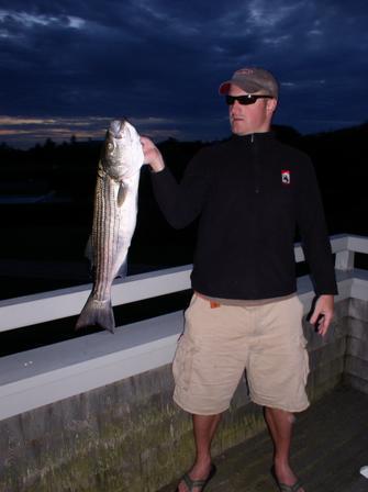 StridArt's profile picture. Philly Guy