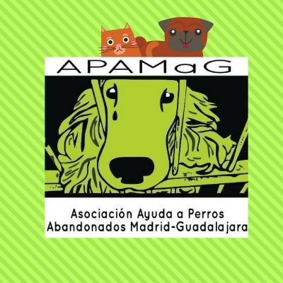 APAMaG somos una protectora sin refugio pero con muchas ganas.
Necesitamos casas de acogida, traslados, adopciones...
¿Te animas a formar parte de esta familia?