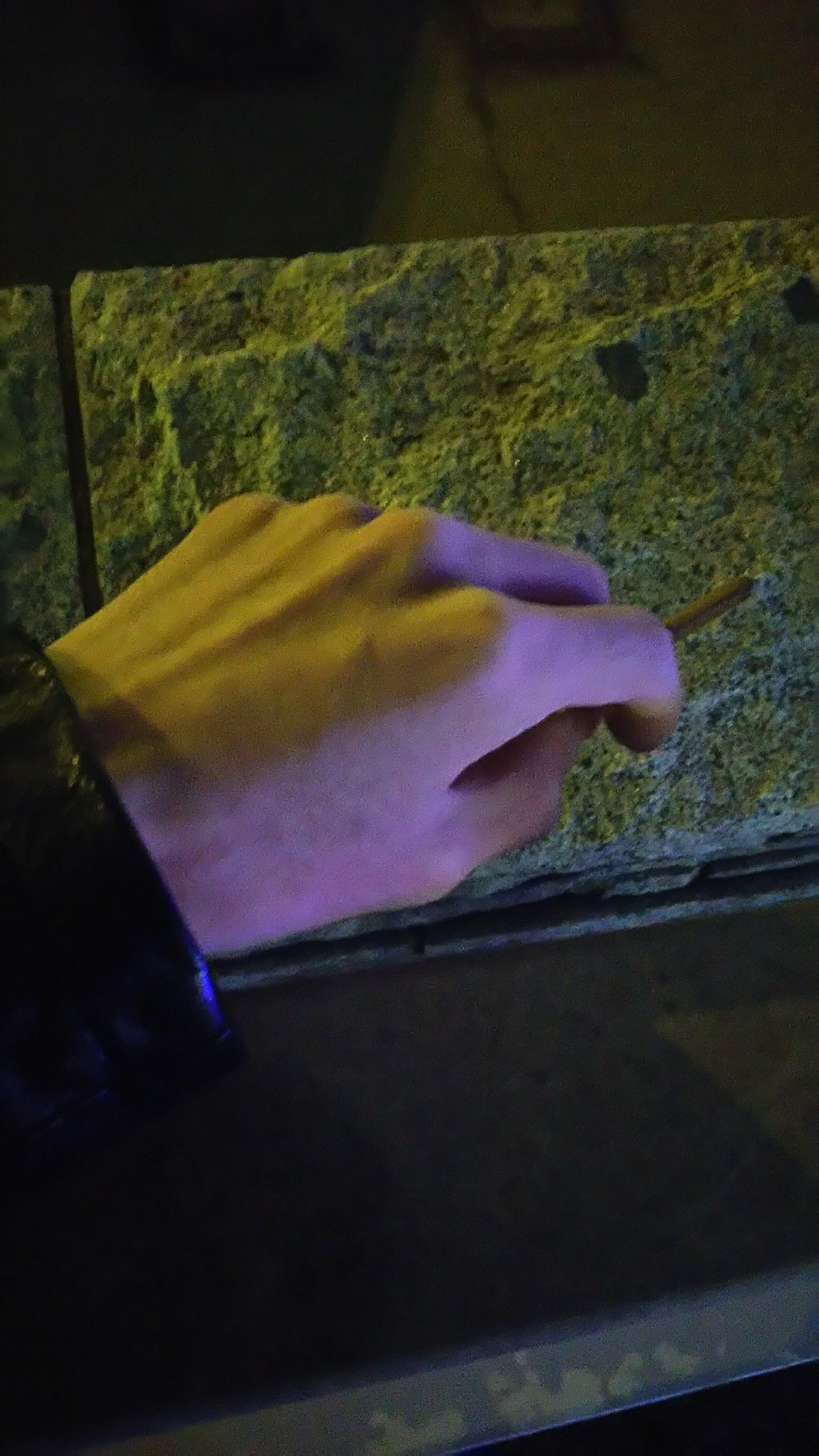 shura3336e's profile picture. 裏垢
アラサー
肉体年齢測ったら二十歳でした
出会う気はないのでツイッターでのんびりしましょう
ムラムラ来たときに浮上しがち