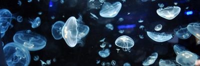 minimalgraphy's profile picture. founder @Russell_Dashti  /

you can see all my minimal shots around the world /
coming Soon Start