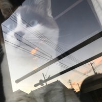 おじゃむ (@gjamk1120) 's Twitter Profile Photo