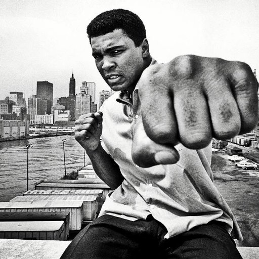 hgoodson's profile picture. Interest:  Reforming Criminal Justice System, Dividend & Option Trading &  Investing, Politics, Debating,  Math & Strategic Games,  and Always, good clean Jokes