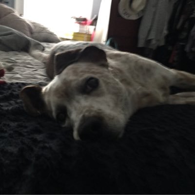 Edward_J126's profile picture. I like...stuff.