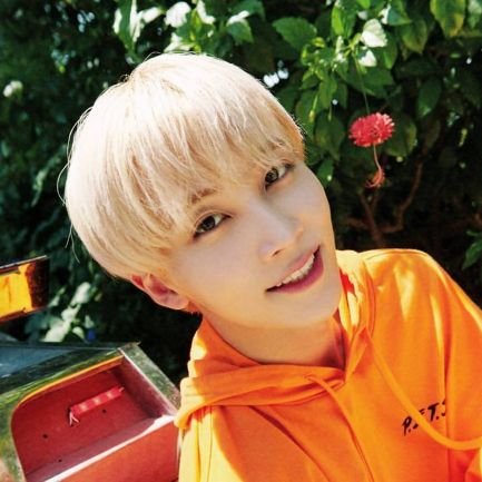 jRbX1lCG0kLhZua's profile picture. 승철정한지수준휘순영원우지훈명호민규석민승관한솔찬 ❣