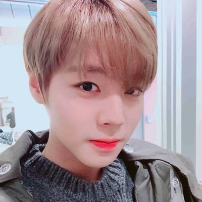 pinklight0529's profile picture. ✨