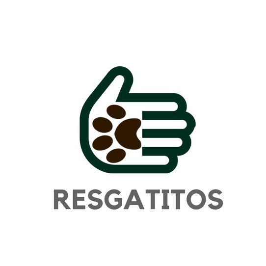 Educação, conscientização e respeito aos animais. 

@drica_bh e @renataegatitos atuam como protetoras independentes em Belo Horizonte/MG.

Insta: @resgatitosbh