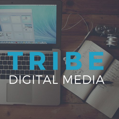 Tribedm's profile picture. Developing and implementing digital strategies designed to drive results, achieve objectives, and increase impact.