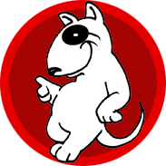 Pipilini's profile picture. Marketing Interactivo | Marketing Digital | SEM | SEO | VideoMarketing