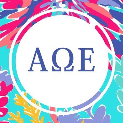 Promoting women in engineering since 2006. Virginia Tech • Rho chapter