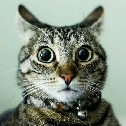 ZOKHADO's profile picture. 