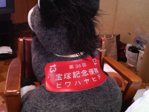 hiyobiwa's profile picture. 馬好きです。 競馬暦約30年、乗馬暦（主に障害飛越）20年。 ここ数年いけてないですが、フランス競馬がすき、日本調教馬の凱旋門賞制覇を願ってます。 フランスつながりからシャンパン好きです。