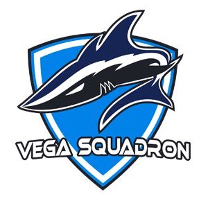 Professional Esports organization. Partnership and sponsorship: boss@vega-squadron.com