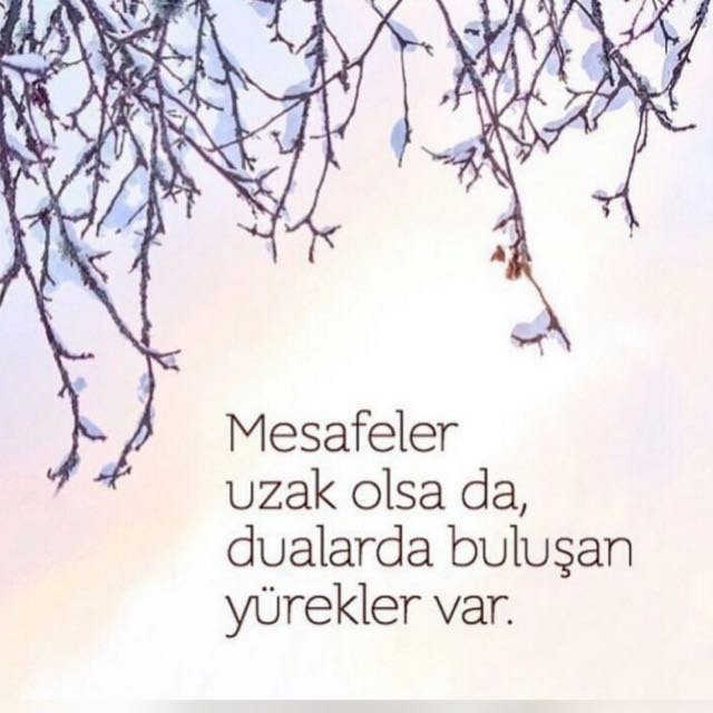 Gurbettenvuslat's profile picture. 