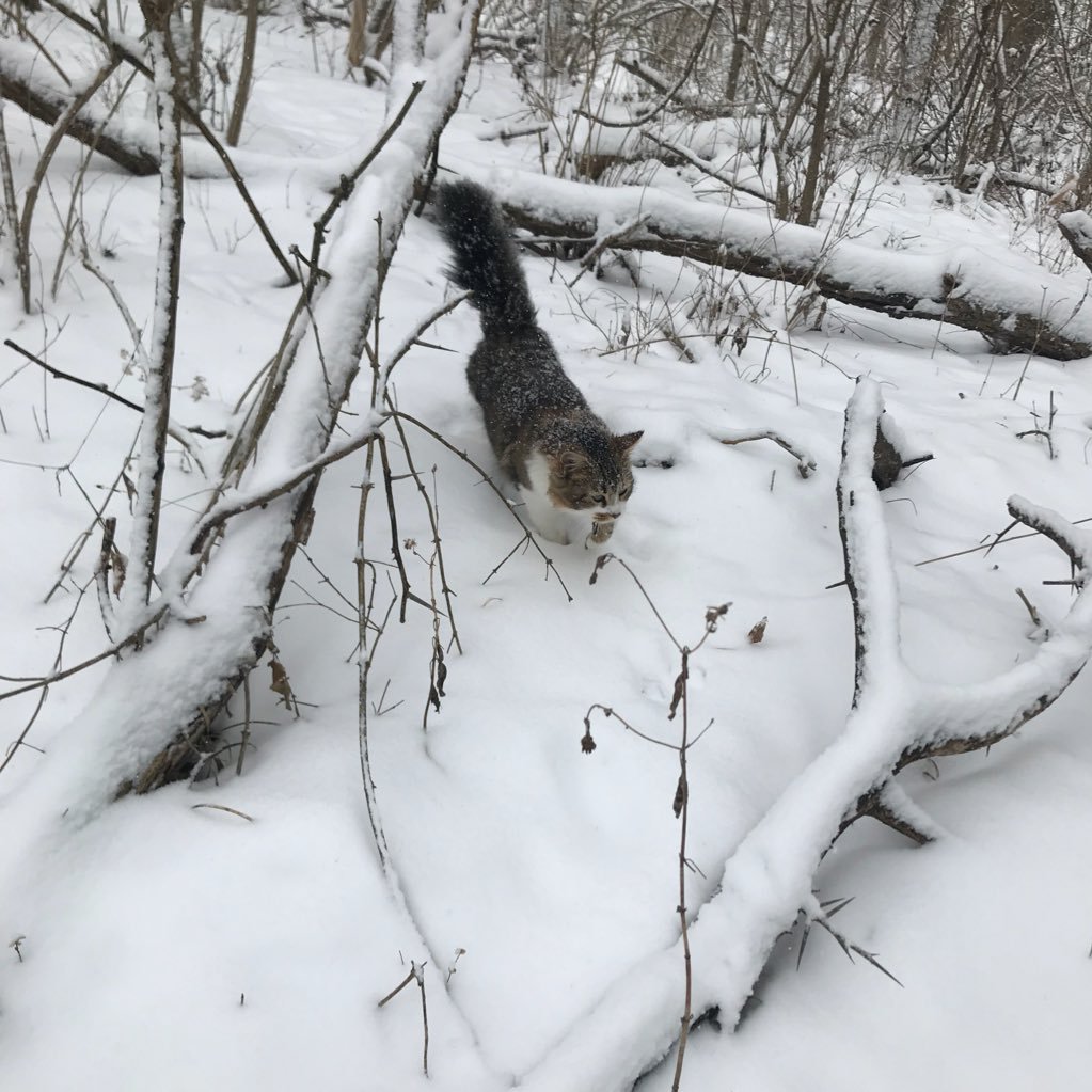 umwhatttty's profile picture. ha