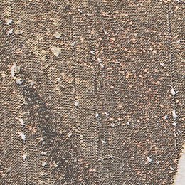 lizasTHREADS's profile picture. sending threads your way 🤪 helpful, funny, personal, first times, etc 💁🏼 DM me with submissions 🎉