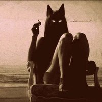 Selvastrana (@selvastrana) 's Twitter Profile