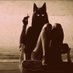 Selvastrana (@selvastrana) Twitter profile photo Selvastrana (@selvastrana) Twitter profile photo