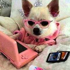 ItsMeTheFreak's profile picture. Soy la Freak.
Libros, Comics, Series, Cine.