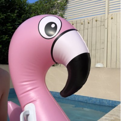 PatsFlamingo's profile picture. Flamingo companion to @_patmurray