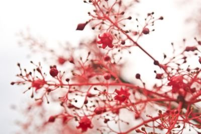 BinAdil77bat's profile picture. One day I am going to there where no body with me......alone