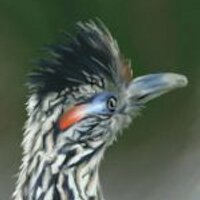 野田隼人 Atty. NODA Hayato J.D. (@nodahayato) 's Twitter Profile