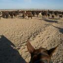 Meredith Dale - @Meredale - Twitter