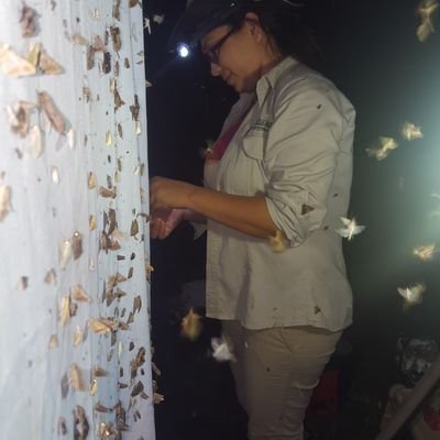 Biologist, PhD. Lecturer Universidad de Sucre, Colombia. Interested in systematics of geometrid moths. 🇨🇴