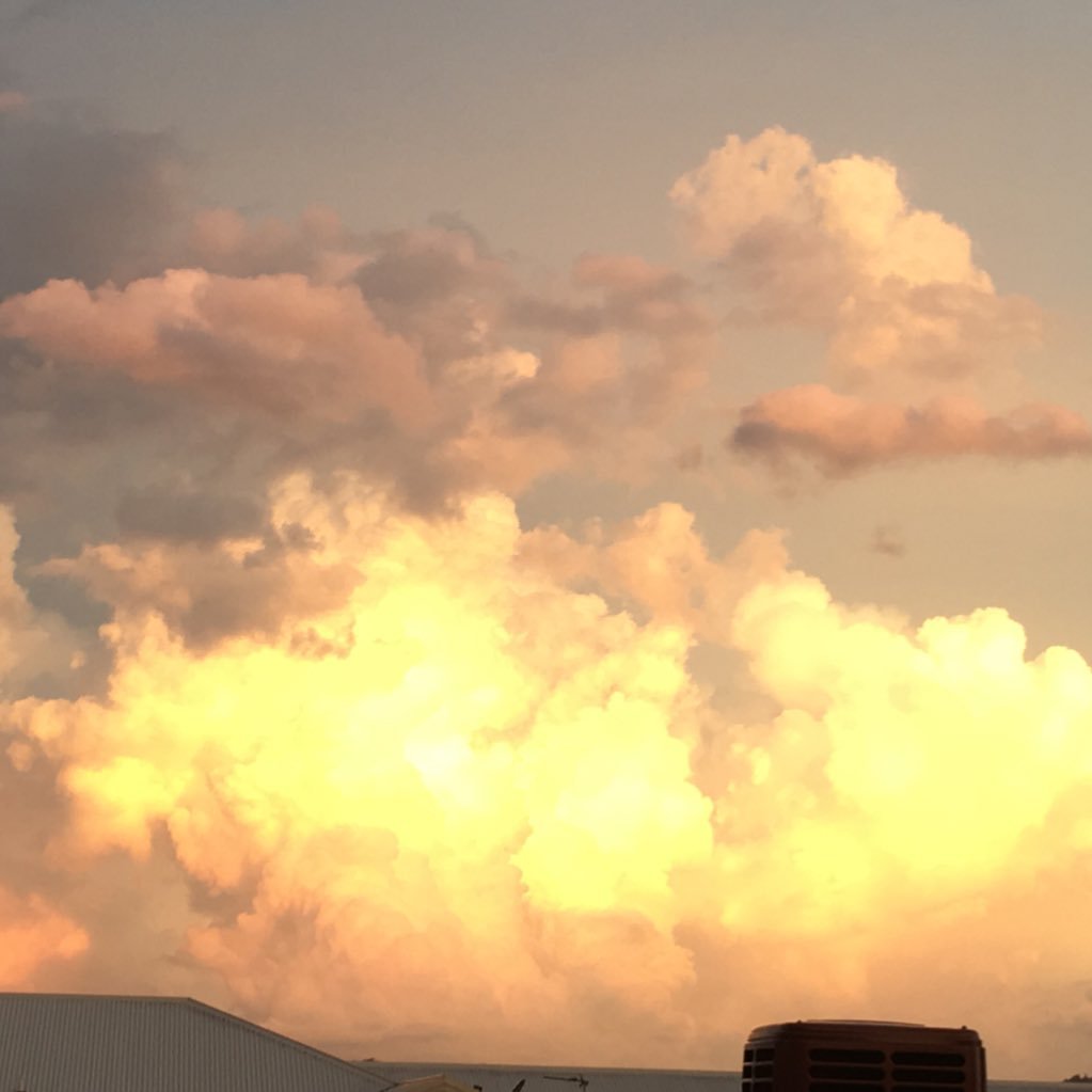 JoyBelafonte's profile picture. Always striving to learn new things. Positive thinker. compassionate but not a bleeding heart. realist. mother. student. non activist.