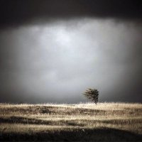 خروج نهائي (@p98k0t4ueffq6r7) Twitter profile photo