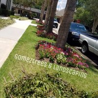 GomezTrees & Landscaping (@gomez_trees) 's Twitter Profile