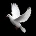 Adam Shingleton (@adam85232157) Twitter profile photo Adam Shingleton (@adam85232157) Twitter profile photo