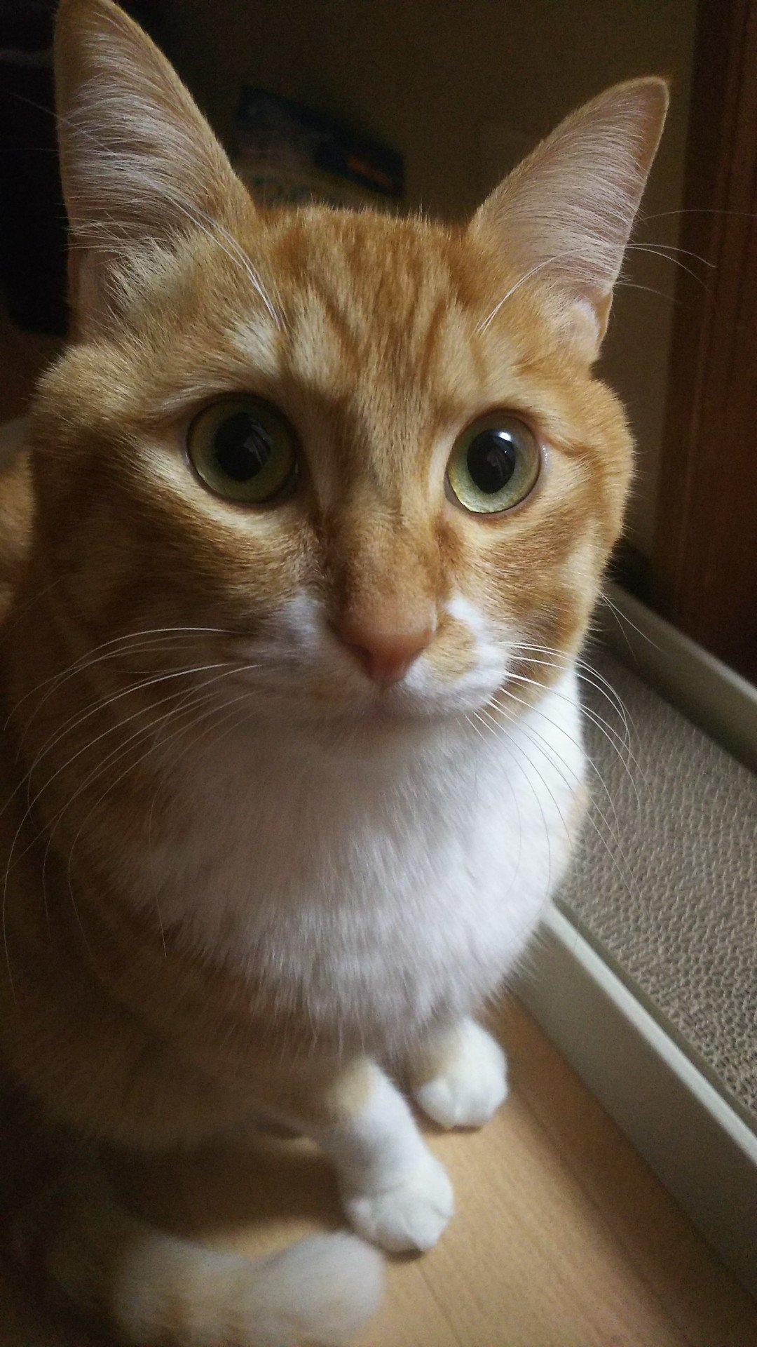 takeme0326's profile picture. 