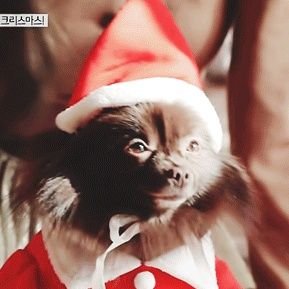 bp_jslc's profile picture. 