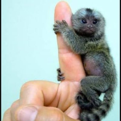 MyDatagG's profile picture. 