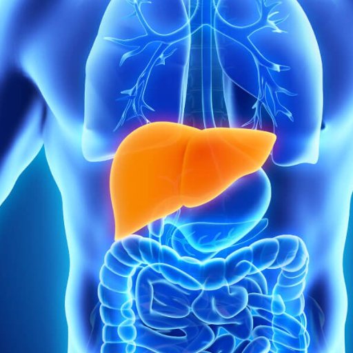 Twitter Account for the Liver Machine Perfusion Translational Research Group at The University of Birmingham and University Hospitals Birmingham NHS Trust