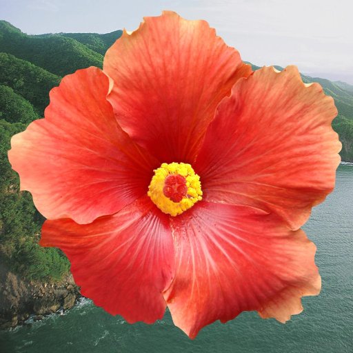 Fabulosos destinos Villas VIP Playa de Uva, Posada Caribana. Excelencia en servicio y armonía con la naturaleza. Telfs: 58-212-2633649 parquenivaldito@gmail.com