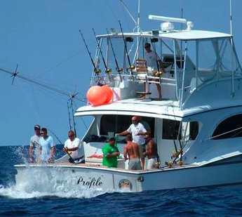 Web portal devoted to all aspects of deep sea fishing.  Brand new as of 1 June 2010.