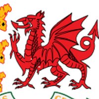 Wales Over 50s Cricket.(@Wales_over_50s) 's Twitter Profile Photo