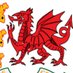 Wales Over 50s Cricket. (@Wales_over_50s) Twitter profile photo