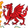 Wales_over_50s's profile picture. Official Twitter Account. We play international ODI’s, 1st, 2nd & 3rd team fixtures in ECB county championships along with a Friendly X1. All Are Welcome.