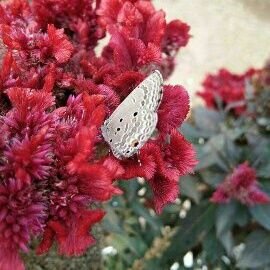 Shahzab319's profile picture. Just time wasting