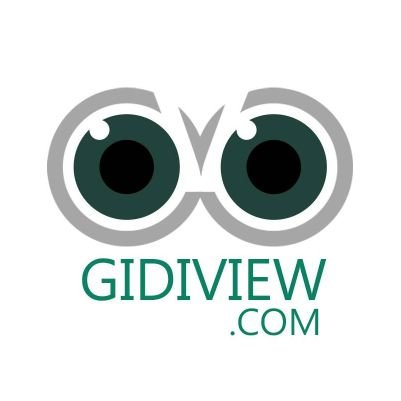 Gidiview.com