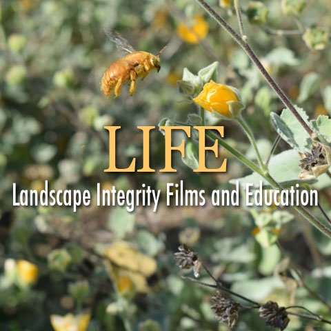 LIFE - Landscape Integrity Films and Education -  Native landscaping conserves water, supports biodiversity and preserves authentic natural beauty.
