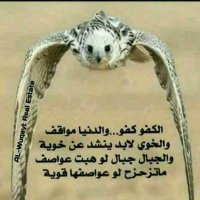 الفحل الاسمر (@px7h3stifyq0qs7) Twitter profile photo