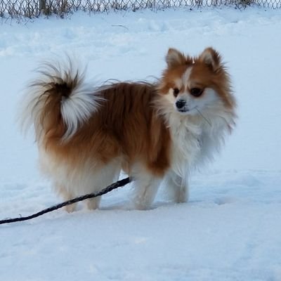 Mayna9's profile picture. #SavannahStrong