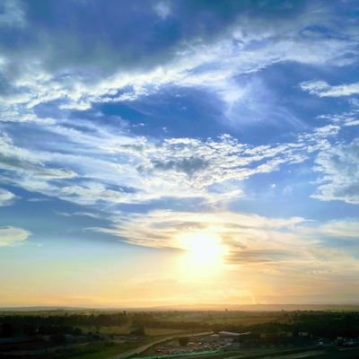 nontwit_non's profile picture. 