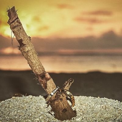 R15H_22's profile picture. 