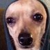bean (@hayesftkeeda) Twitter profile photo bean (@hayesftkeeda) Twitter profile photo