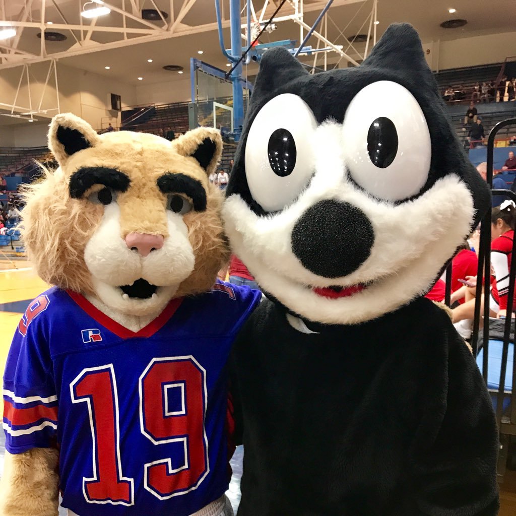 WeAreTheNCC's profile picture. 